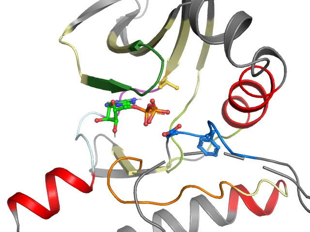 The orthosteric binding pocket