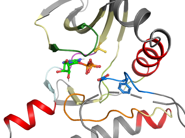 The orthosteric binding pocket