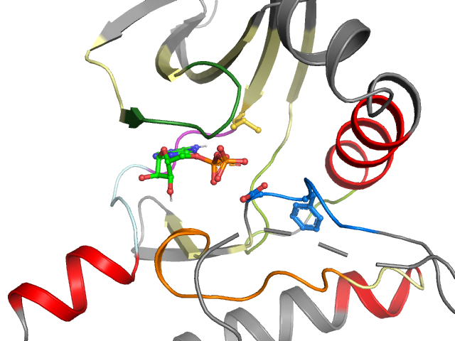 The orthosteric binding pocket