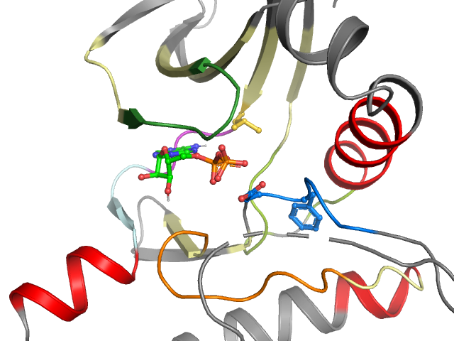 The orthosteric binding pocket