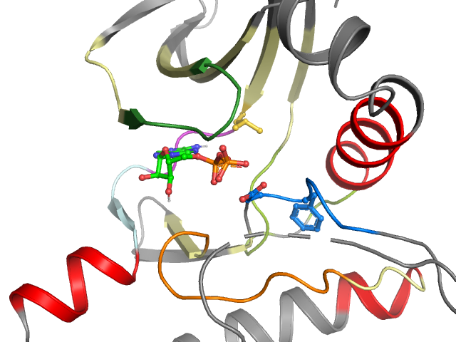 The orthosteric binding pocket