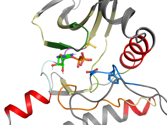 The orthosteric binding pocket