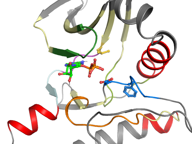 The orthosteric binding pocket