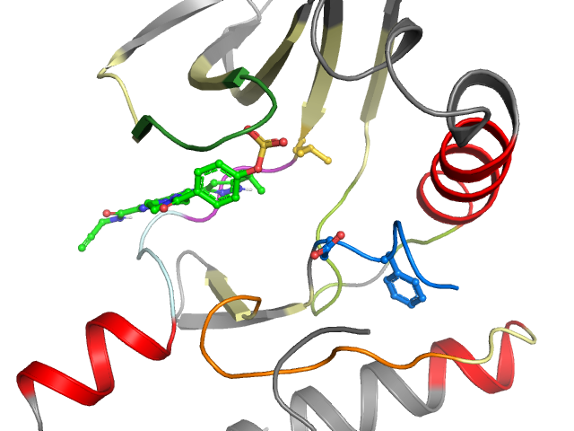 The orthosteric binding pocket