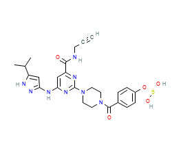 2D structure of the orthosteric ligand