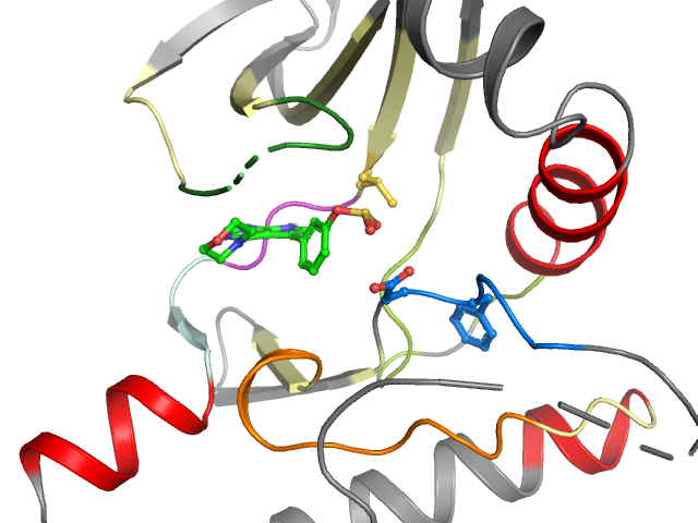 The orthosteric binding pocket