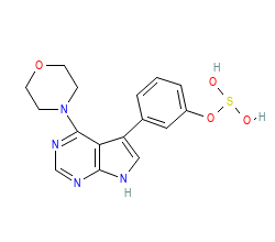 2D structure of the orthosteric ligand