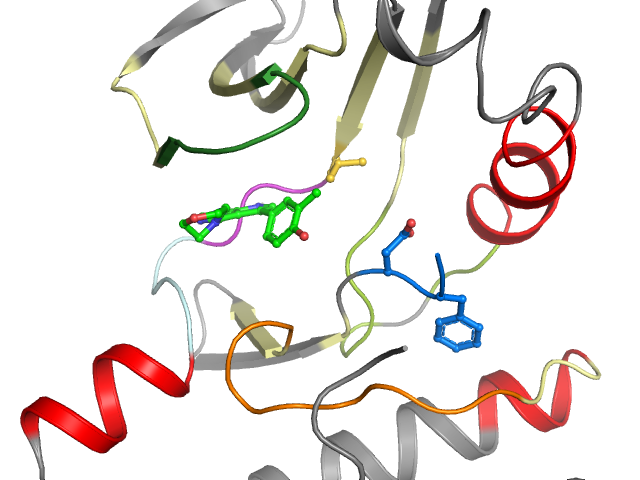 The orthosteric binding pocket