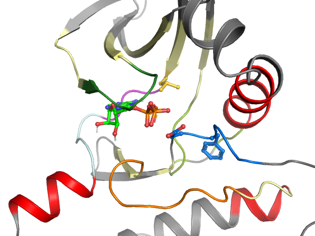 The orthosteric binding pocket