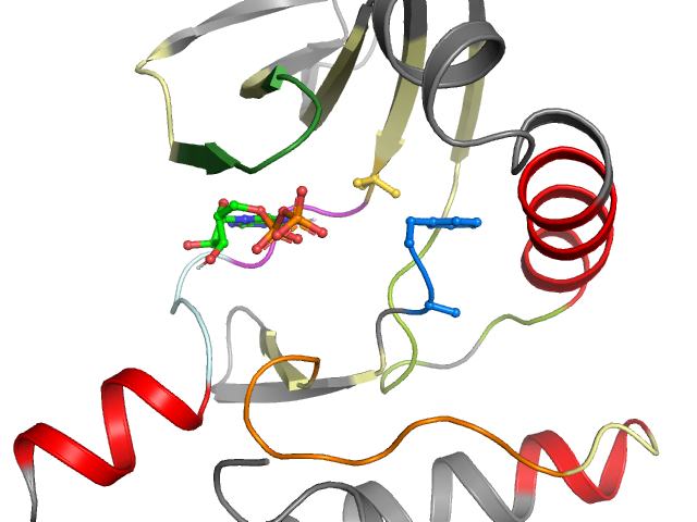 The orthosteric binding pocket