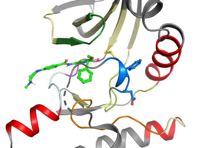 The orthosteric binding pocket
