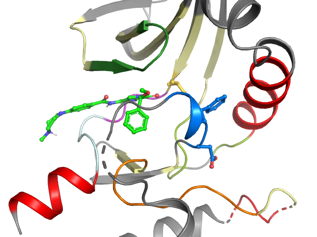 The orthosteric binding pocket