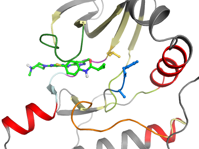 The orthosteric binding pocket