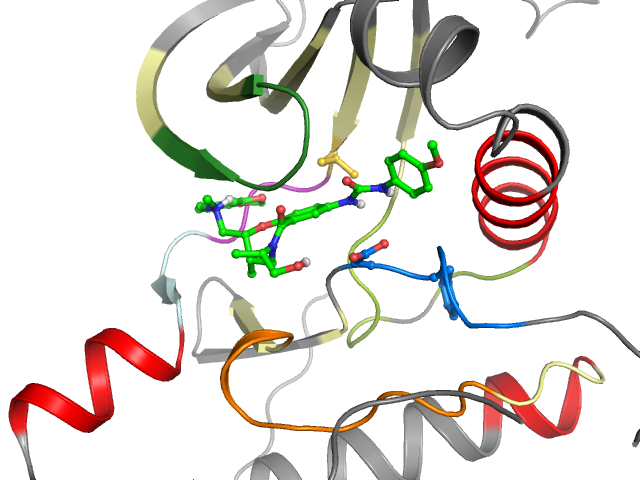 The orthosteric binding pocket