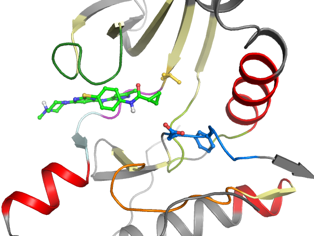 The orthosteric binding pocket