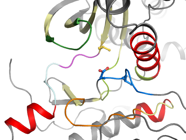 The orthosteric binding pocket