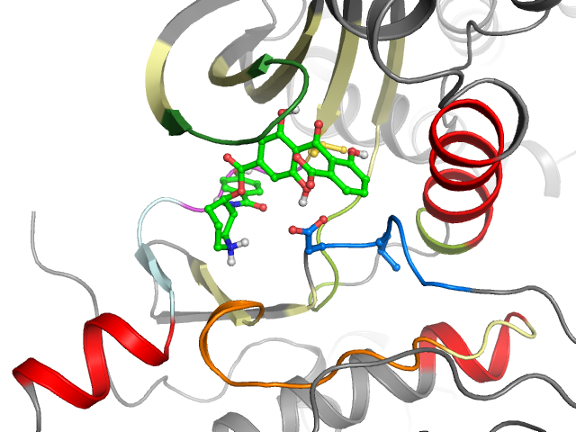 The orthosteric binding pocket