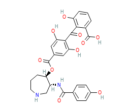 2D structure of the orthosteric ligand