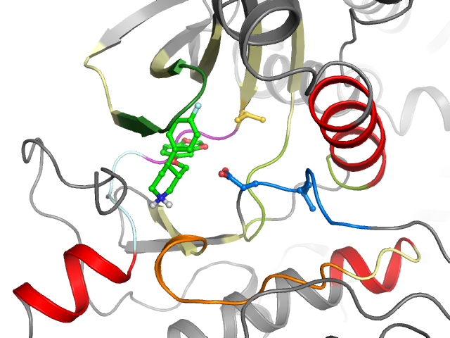 The orthosteric binding pocket