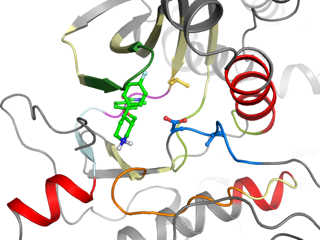 The orthosteric binding pocket