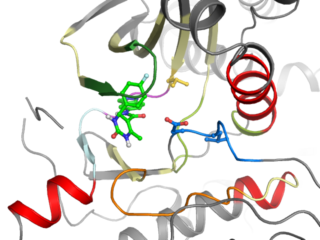The orthosteric binding pocket