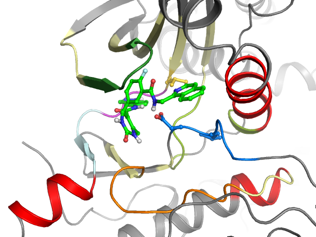 The orthosteric binding pocket