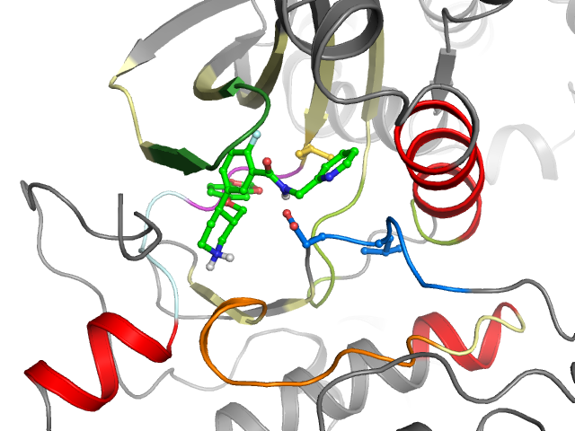 The orthosteric binding pocket