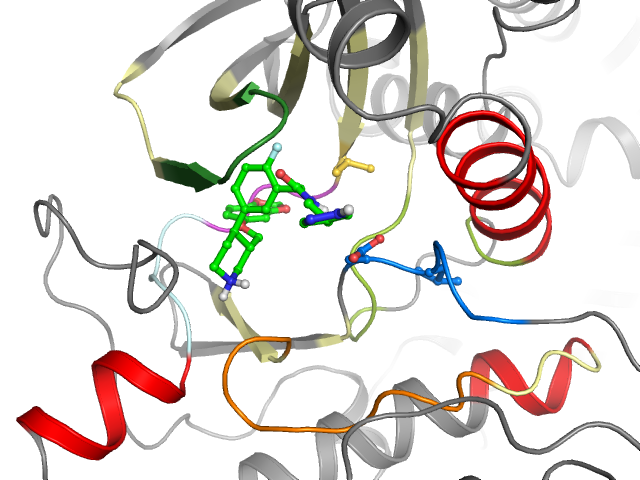 The orthosteric binding pocket
