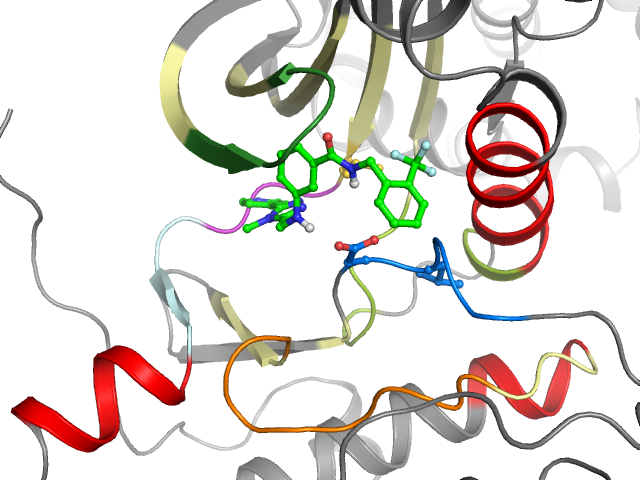 The orthosteric binding pocket