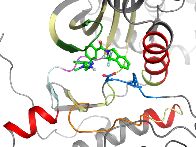 The orthosteric binding pocket