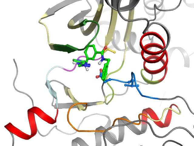 The orthosteric binding pocket