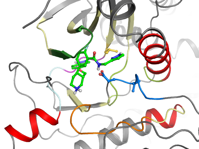 The orthosteric binding pocket