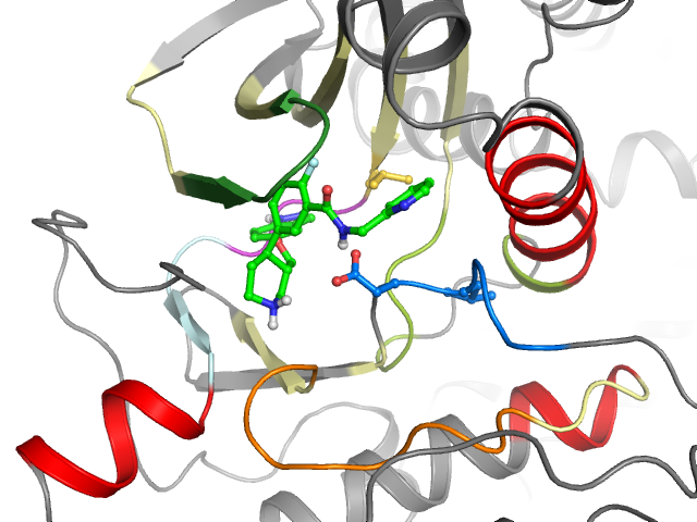 The orthosteric binding pocket