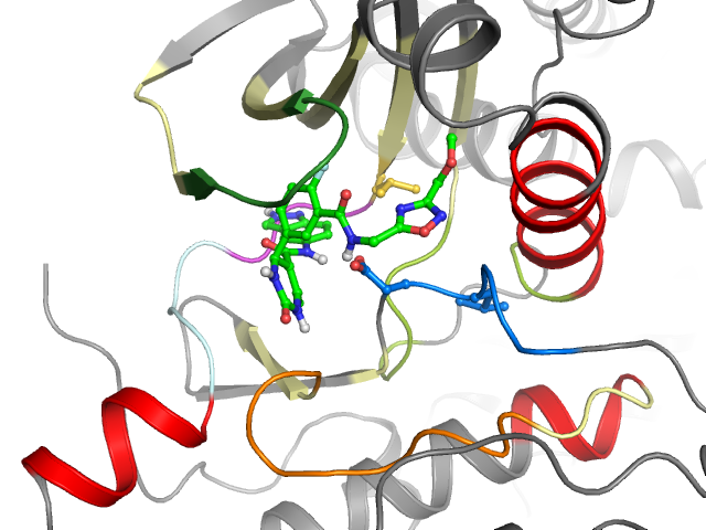 The orthosteric binding pocket