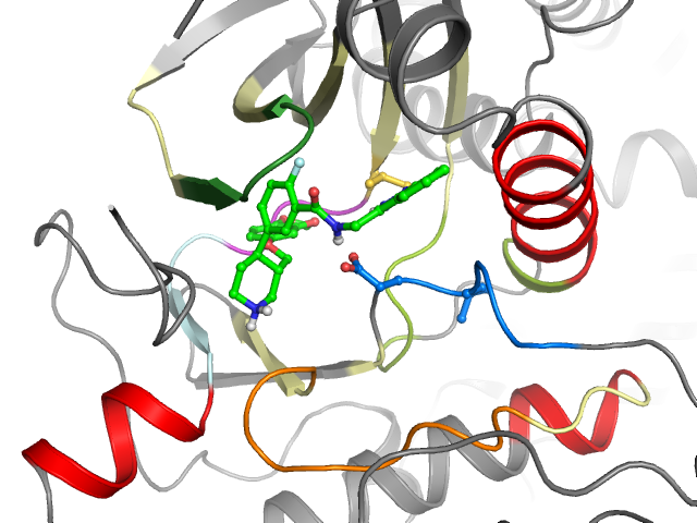 The orthosteric binding pocket