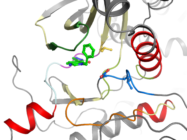 The orthosteric binding pocket