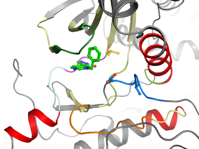 The orthosteric binding pocket