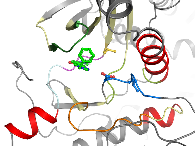 The orthosteric binding pocket