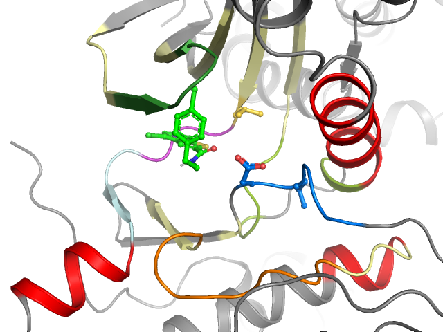 The orthosteric binding pocket