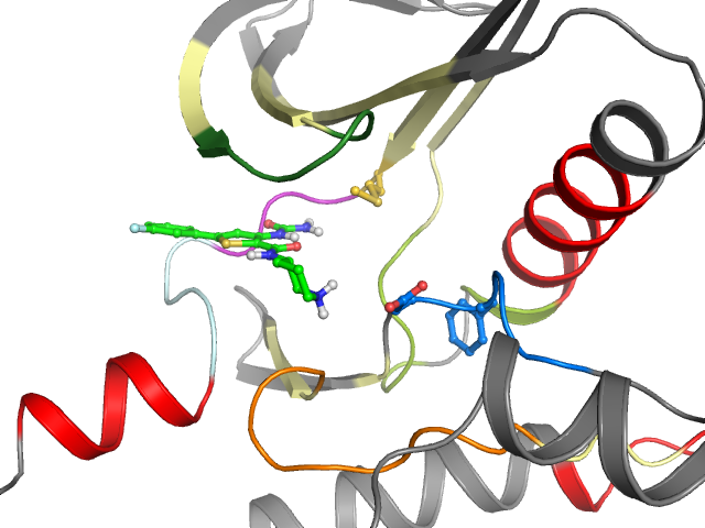 The orthosteric binding pocket