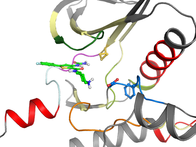 The orthosteric binding pocket