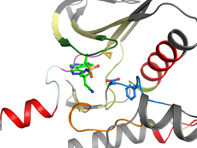 The orthosteric binding pocket