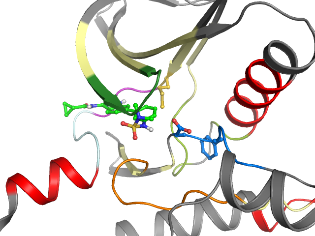 The orthosteric binding pocket