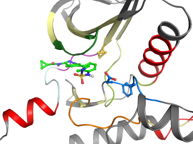 The orthosteric binding pocket