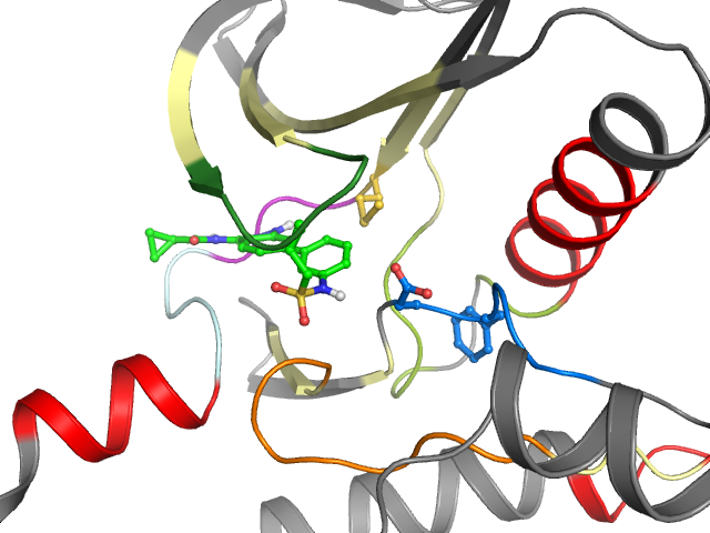 The orthosteric binding pocket