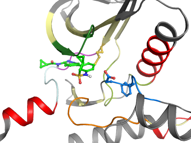 The orthosteric binding pocket