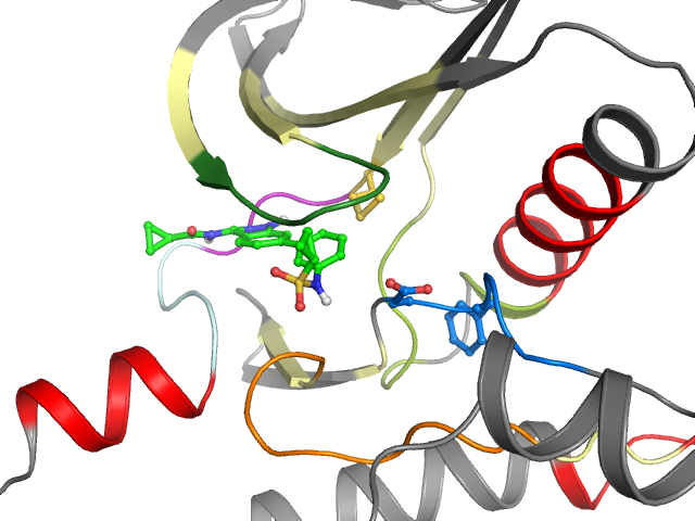 The orthosteric binding pocket