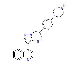 2D structure of the orthosteric ligand