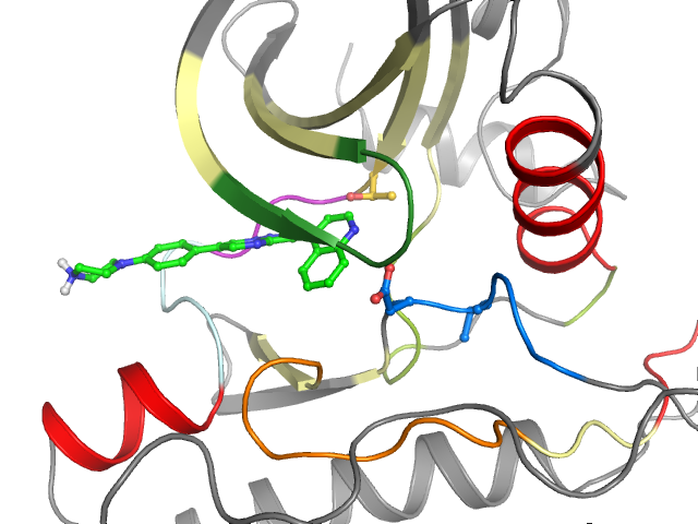 The orthosteric binding pocket
