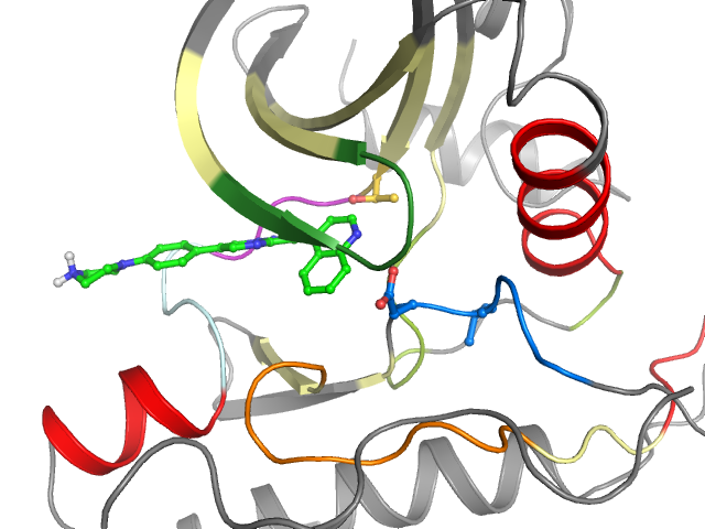 The orthosteric binding pocket